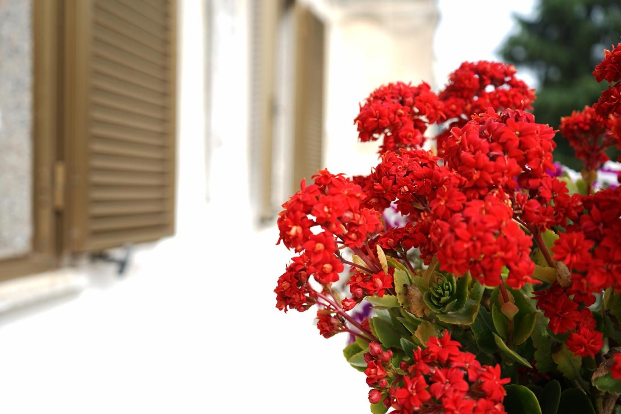 Ostuni Dream House Apartment Ngoại thất bức ảnh